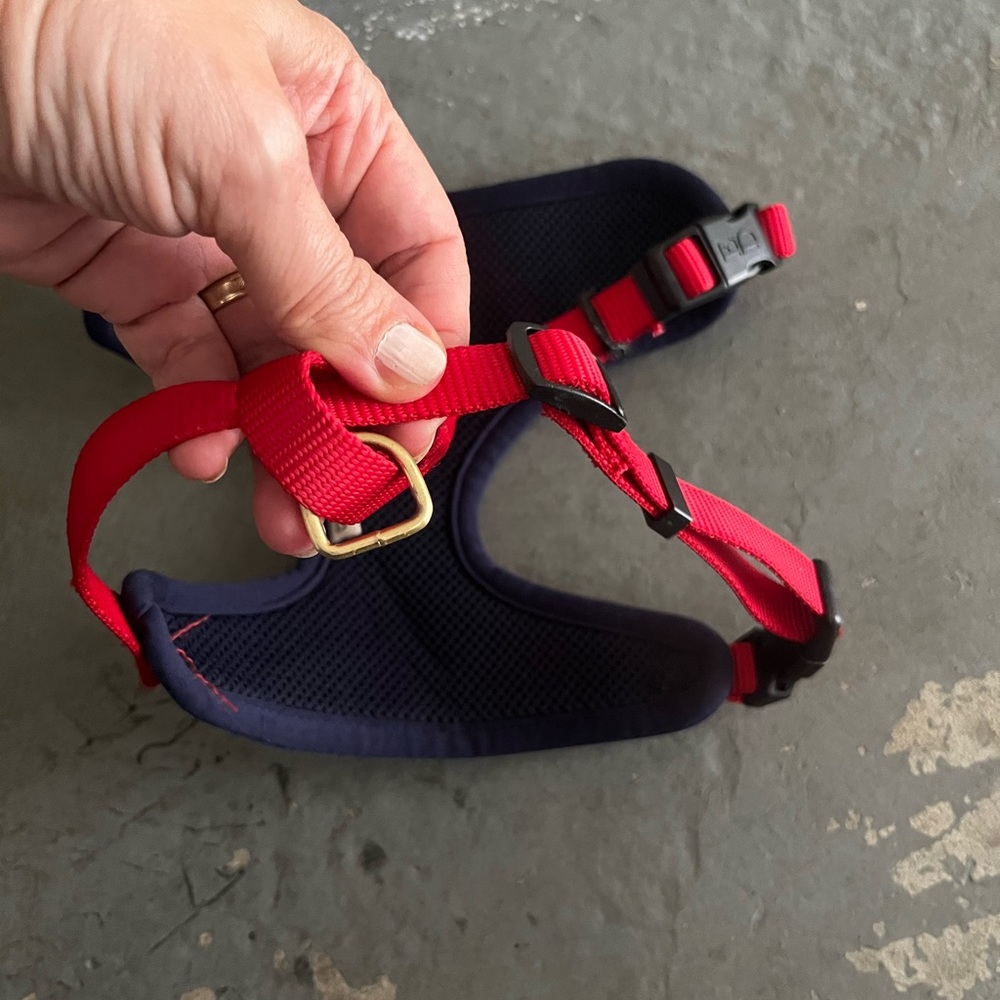 Small dog harness - Picture 4 of 10